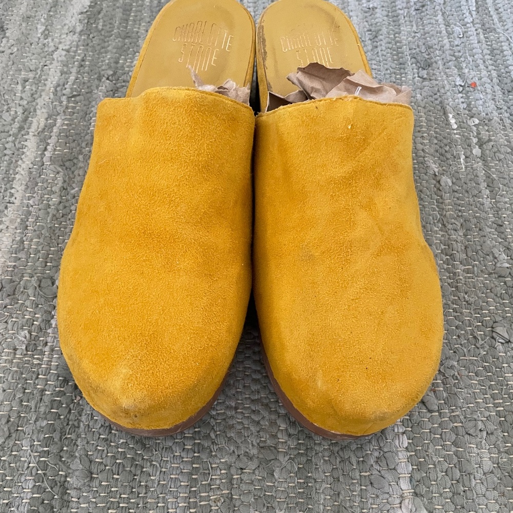 Charlotte Stone Clogs